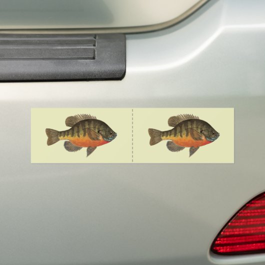 Bluegill Bream Bumpersticker (Op auto)