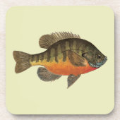 Bluegill Bream Drankjes Onderzetter (Voorkant)