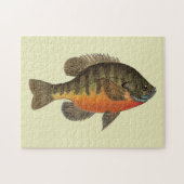 Bluegill Bream Legpuzzel (Horizontaal)