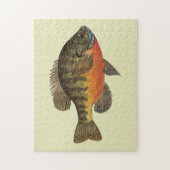 Bluegill Bream Legpuzzel (Verticaal)