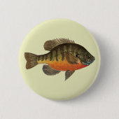Bluegill Bream Ronde Button 5,7 Cm (Voorkant)