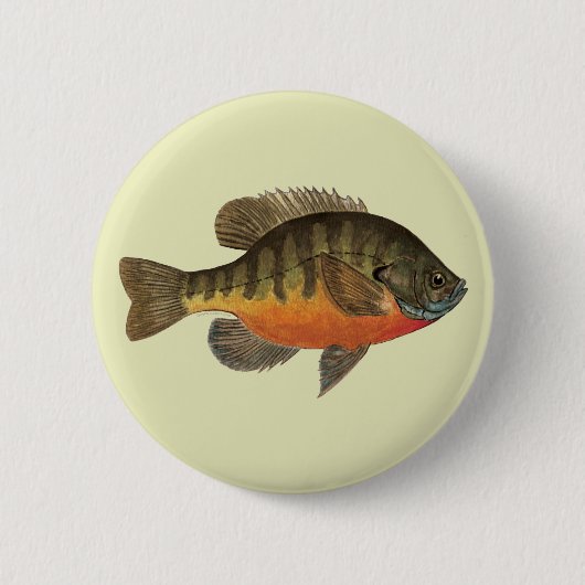 Bluegill Bream Ronde Button 5,7 Cm (Voorkant)
