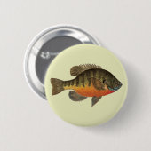 Bluegill Bream Ronde Button 5,7 Cm (Voorkant /achterkant)