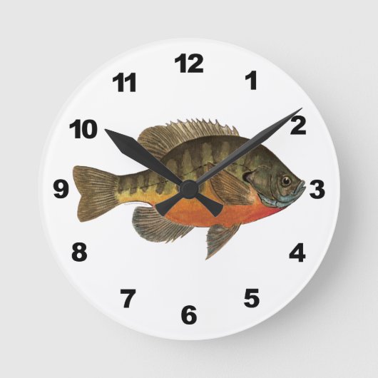 Bluegill Bream Ronde Klok (Voorkant)