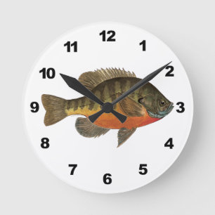 Bluegill Bream Ronde Klok