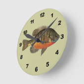 Bluegill Bream Ronde Klok (Hoek)