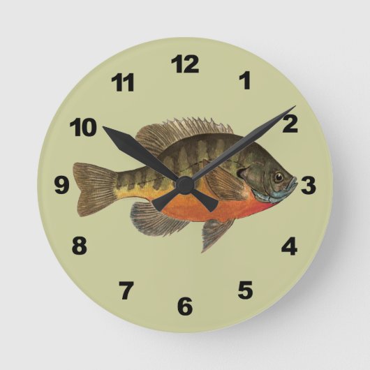 Bluegill Bream Ronde Klok (Voorkant)