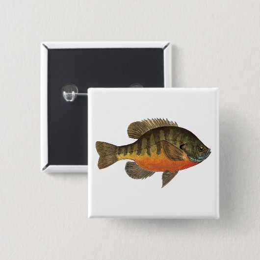 Bluegill Bream Vierkante Button 5,1 Cm (Voorkant /achterkant)