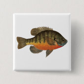 Bluegill Bream Vierkante Button 5,1 Cm (Voorkant)