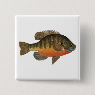 Bluegill Bream Vierkante Button 5,1 Cm