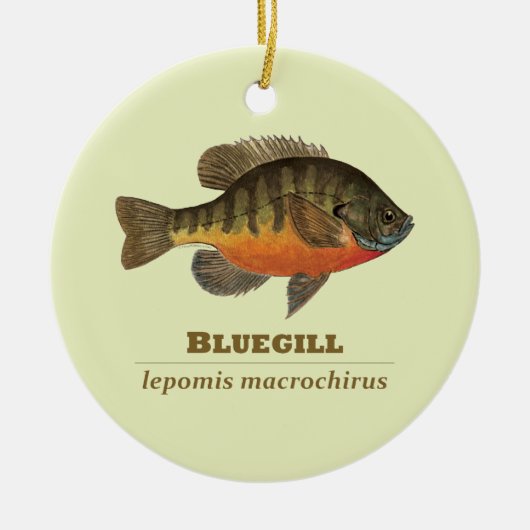 Bluegill Bream Vist Keramisch Ornament (Voorkant)