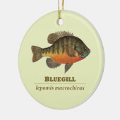 Bluegill Bream Vist Keramisch Ornament (Links)