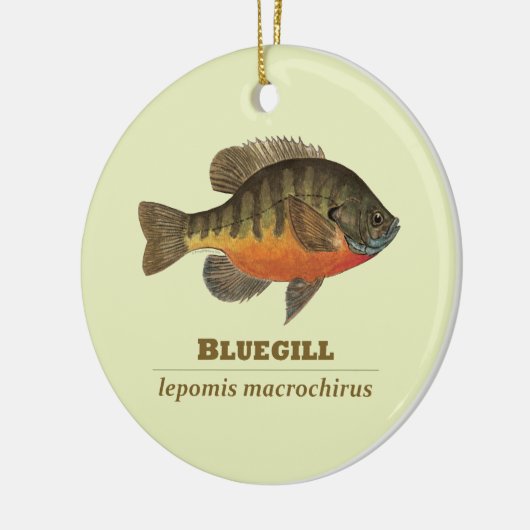 Bluegill Bream Vist Keramisch Ornament (Links)