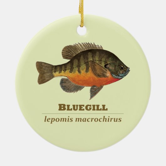 Bluegill Bream Vist Keramisch Ornament (Achterkant)