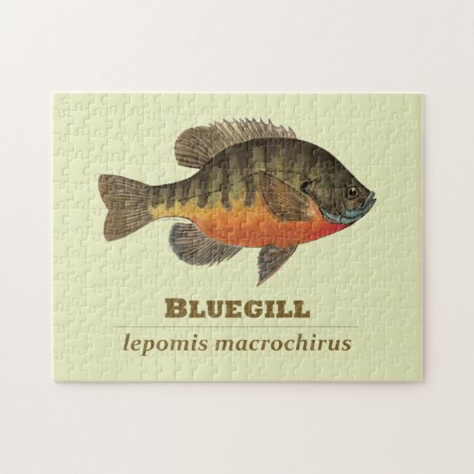 Bluegill Bream Vist Legpuzzel (Horizontaal)