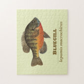 Bluegill Bream Vist Legpuzzel (Verticaal)