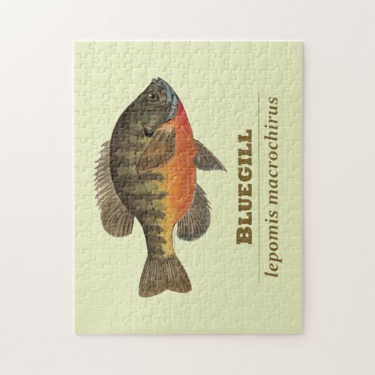 Bluegill Bream Vist Legpuzzel (Verticaal)