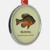 Bluegill Bream Vist Metalen Ornament (Rechts)
