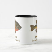 Bluegill Bream Vist Mok (Midden)