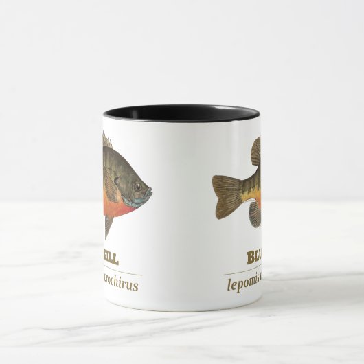 Bluegill Bream Vist Mok (Midden)