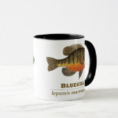 Bluegill Bream Vist Mok (Voorkant rechts)