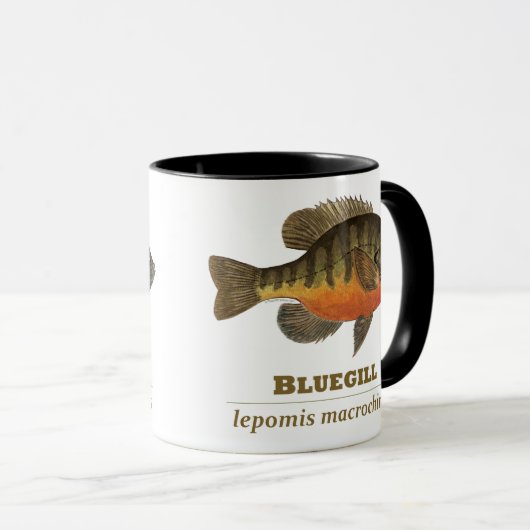 Bluegill Bream Vist Mok (Voorkant rechts)