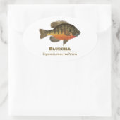 Bluegill Bream Vist Ovale Sticker (Tas)