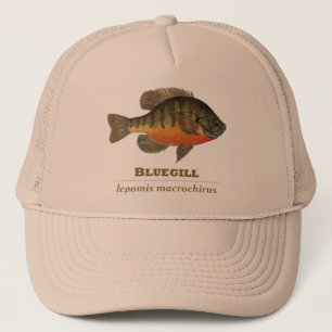 Bluegill Bream Vist Trucker Pet