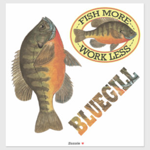 Bluegill Bream Vist van Angler Sticker
