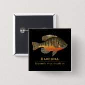 Bluegill Bream Vist Vierkante Button 5,1 Cm (Voorkant /achterkant)