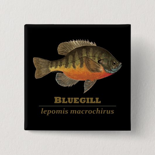 Bluegill Bream Vist Vierkante Button 5,1 Cm (Voorkant)