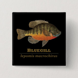 Bluegill Bream Vist Vierkante Button 5,1 Cm