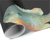 Bluegill Brim Bream Sunfish Perch Vist Cadeaupapier (Rol Hoek)