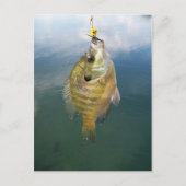 Bluegill Catch Briefkaart (Voorkant)