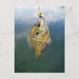 Bluegill Catch Briefkaart