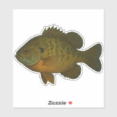 Bluegill Cut-out Sticker (Vel)