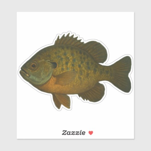 Bluegill Cut-out Sticker (Vel)