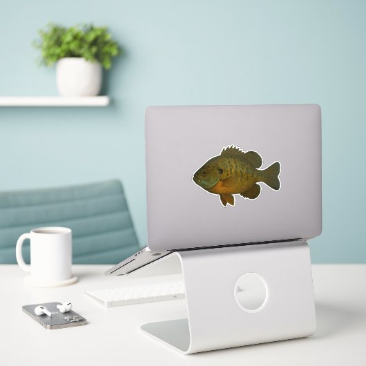 Bluegill Cut-out Sticker (Laptop op bureau)