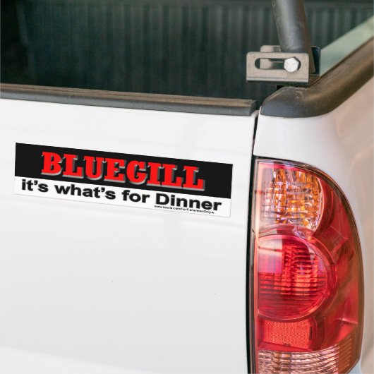 BLUEGILL, dat is wat er voor Bumpersticker uit ete (Op Truck)