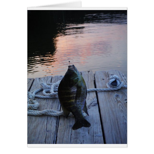 Bluegill in sunset Lake Arrowiad (Voorkant)