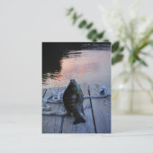 Bluegill in sunset Lake Arrowiad Briefkaart (Staand voorkant)