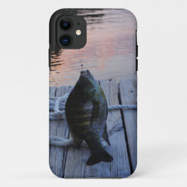 Bluegill in sunset Lake Arrowiad Case-Mate iPhone Case