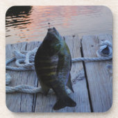 Bluegill in sunset Lake Arrowiad Drankjes Onderzetter (Voorkant)