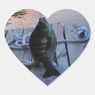 Bluegill in sunset Lake Arrowiad Hart Sticker