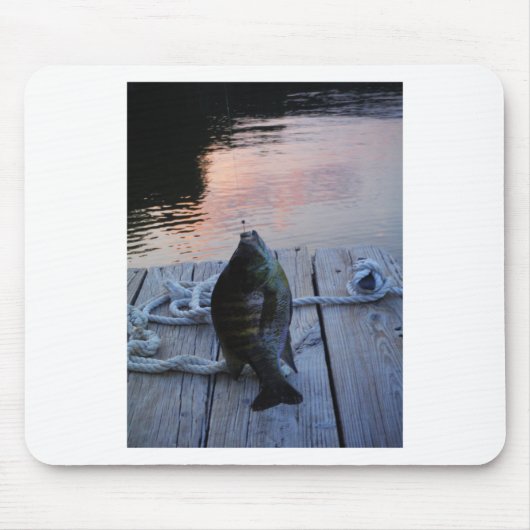 Bluegill in sunset Lake Arrowiad Muismat (Voorkant)