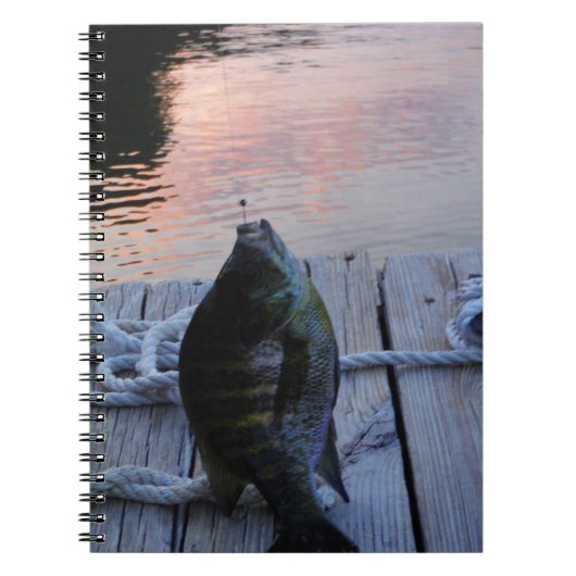 Bluegill in sunset Lake Arrowiad Notitieboek (Voorkant)