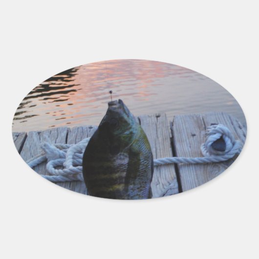 Bluegill in sunset Lake Arrowiad Ovale Sticker (Voorkant)