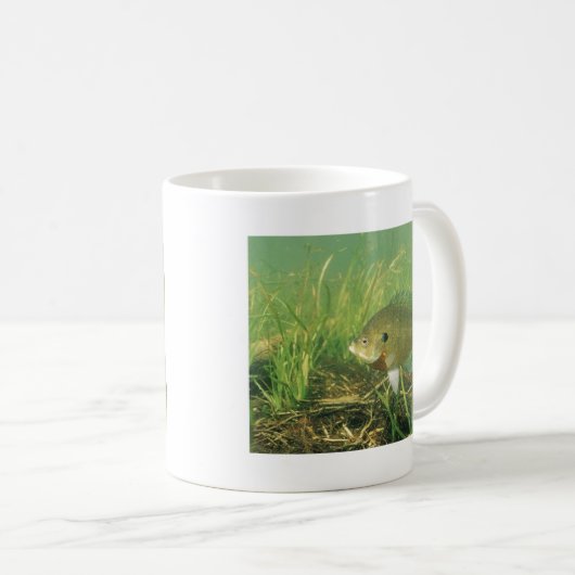 Bluegill Koffiemok (Voorkant rechts)