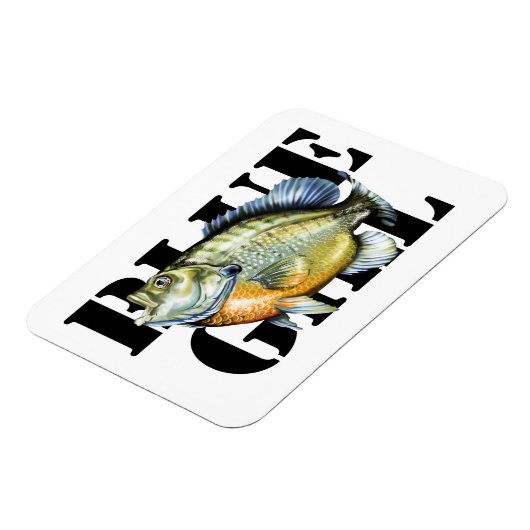 Bluegill Magneet (Linkerzijde)