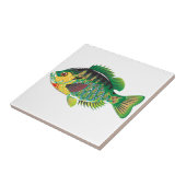 Bluegill Panfish Vector Tegeltje (Zijkant)